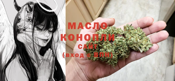 хмурый Няндома