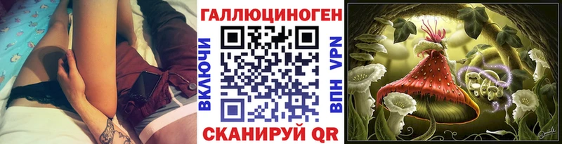 Псилоцибиновые грибы мицелий  купить  цена  MEGA   Перевоз 